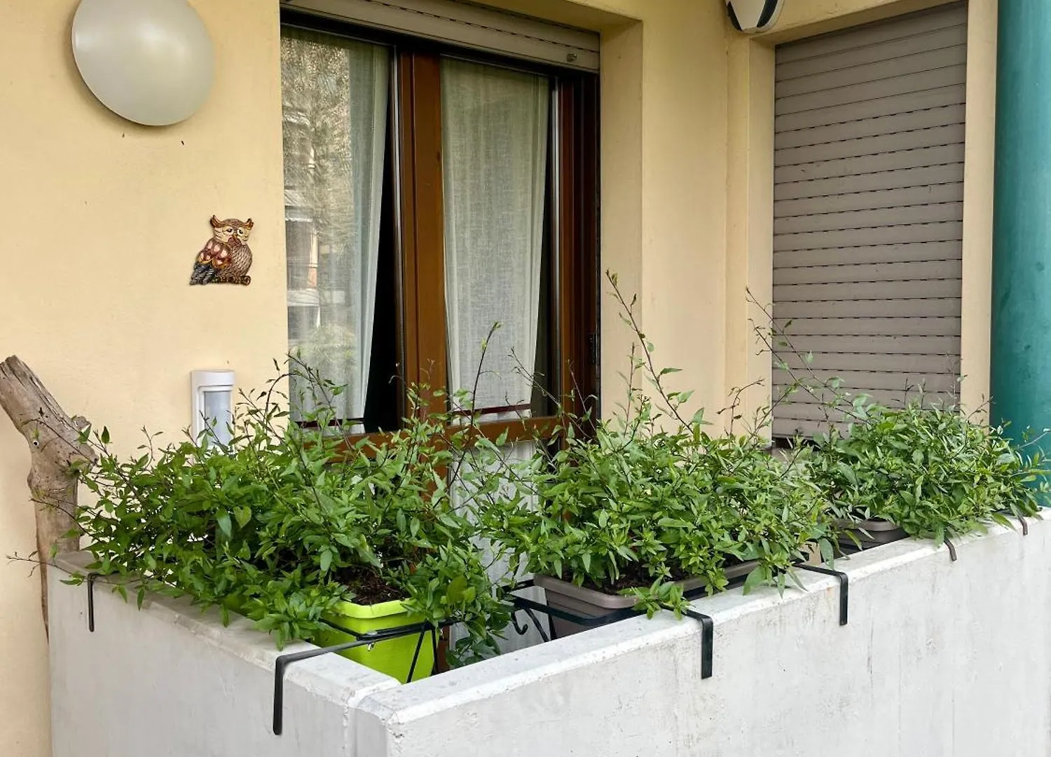 Apartmán Noale House